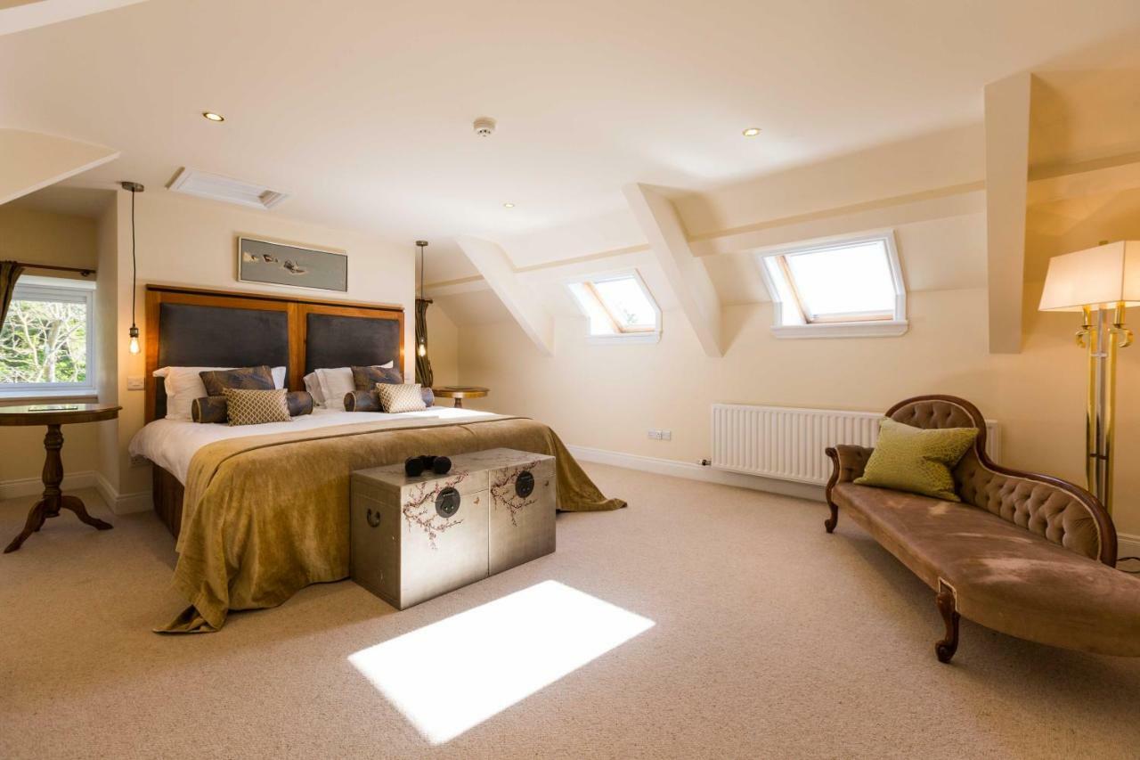 King Room,779395269:JPEG